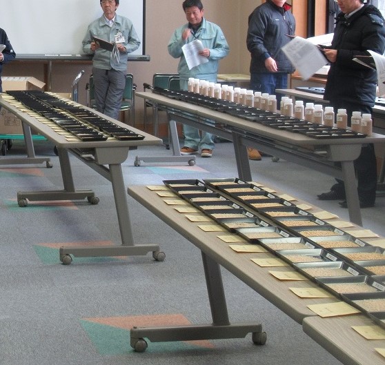 水稲原原種、原種生産物審査のようす