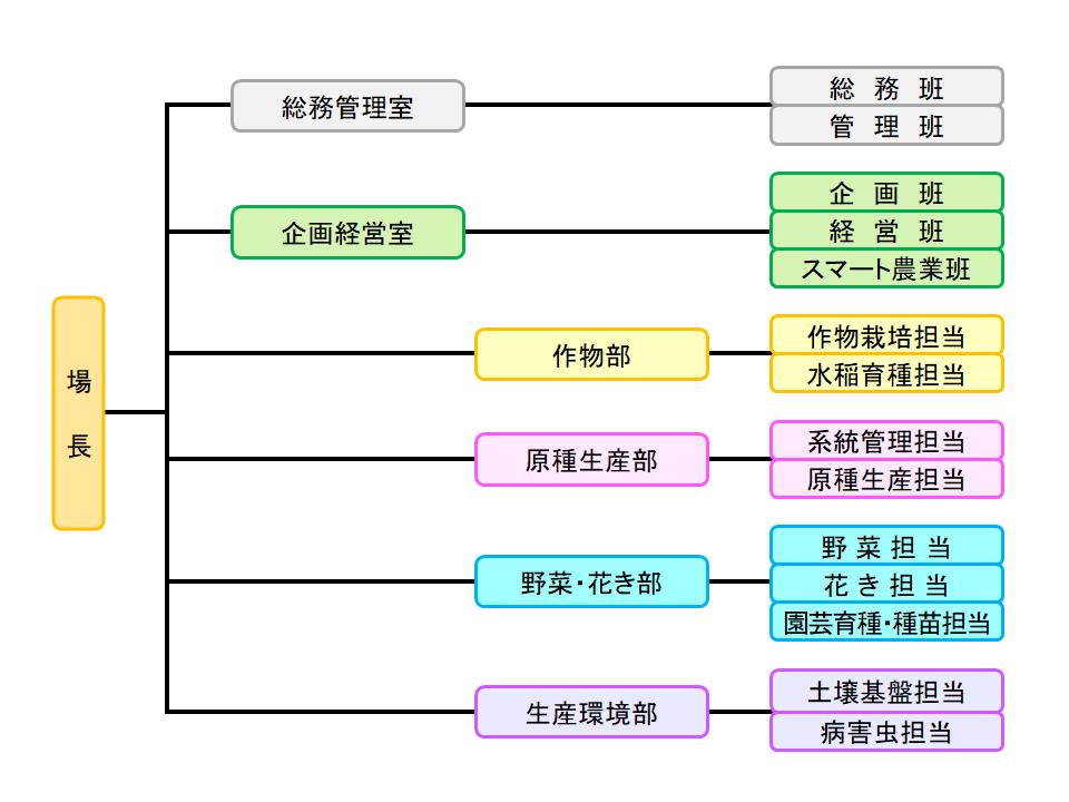  組織図