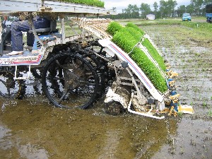 写真：コンバイン2