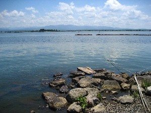 画像：７月２７日 F1取水口沖の状況