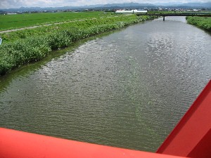 画像：７月３１日 井川川 千潟橋から上流を見た様子