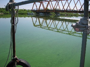画像：８月５日 馬踏川大橋
