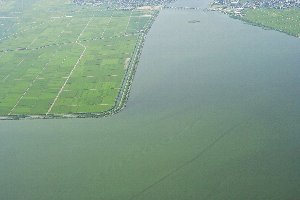 画像：８月１２日 航空写真6