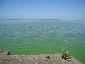 画像：８月１２日 飯塚排水機場前