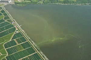 画像：８月１２日 航空写真5