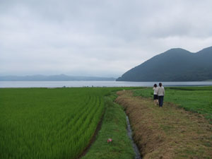 画像：田沢湖へ続く道