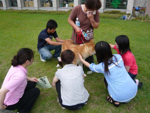 画像：秋田いぬ