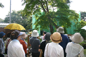 画像：池田氏庭園 工事中の図書館