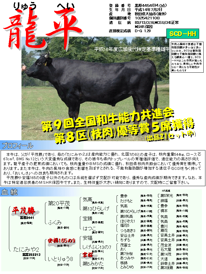 写真：秋田県有種雄牛「龍平」