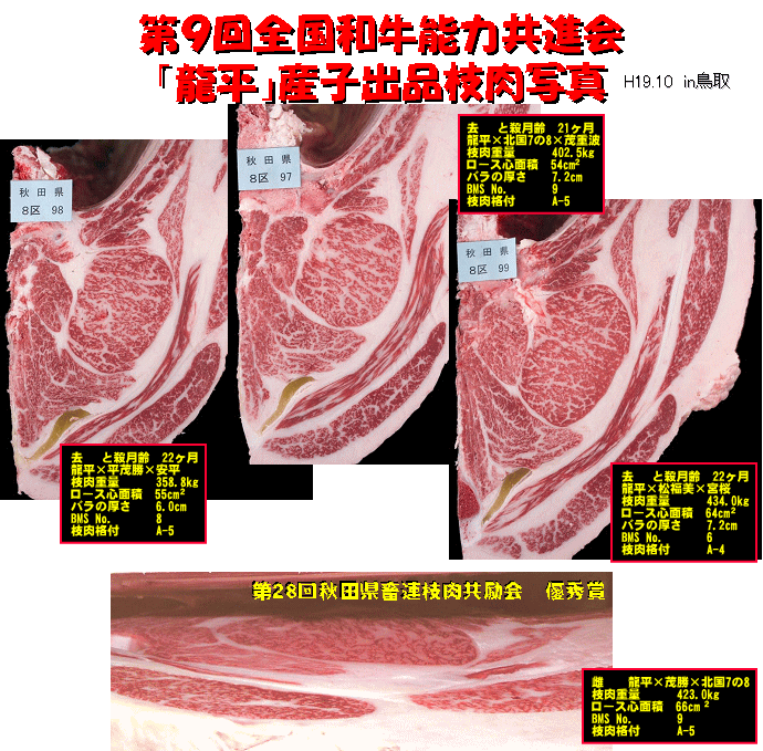 写真：秋田県有種雄牛「龍平」枝肉写真