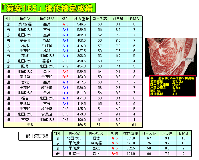 図：秋田県有種雄牛「菊安１６５」枝肉成績