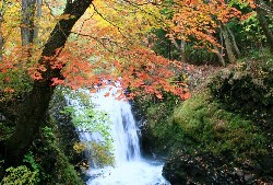 画像:秋田え〜どご100 その3