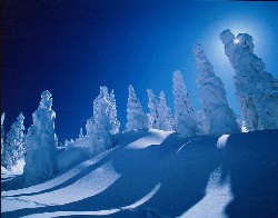 画像:秋田え〜どご100 その14
