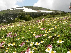 画像：秋田え〜どご100 その19