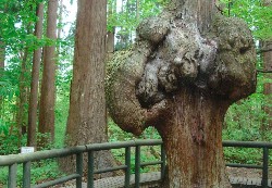 画像:秋田え〜どご100 その22