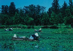 画像:秋田え〜どご100 その31