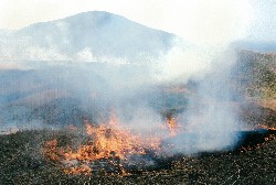 画像:秋田え〜どご100中央地区その11