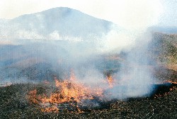 画像：秋田え〜どご100中央地区その11