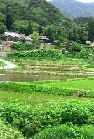 画像:秋田え〜どご100中央地区その14