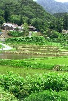 画像：秋田え〜どご100中央地区その14