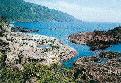 画像:秋田え〜どご100中央地区その5