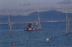 画像:秋田え〜どご100中央地区その16