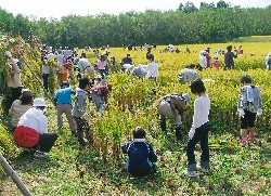 画像：秋田え〜どご100中央地区その18