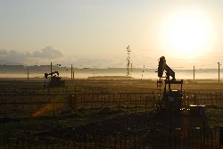 画像：秋田え〜どご100中央地区その19