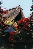 画像:秋田え〜どご100中央地区その21