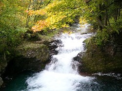 画像:秋田え〜どご100中央地区その22