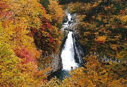 画像:秋田え〜どご100中央地区その26