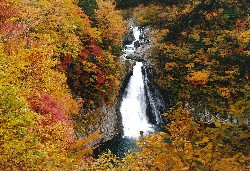 画像：秋田え〜どご100中央地区その26