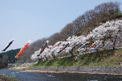 画像：秋田え〜どご100中央地区その27