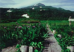 画像:秋田え〜どご100中央地区その28