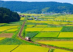 画像:秋田え〜どご100中央地区その29