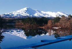 画像：秋田え〜どご100中央地区その30