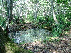 画像：秋田え〜どご100中央地区その31