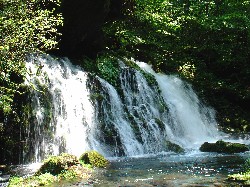 画像：秋田え〜どご100中央地区その33