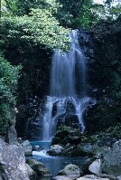 画像:秋田え〜どご100中央地区その34