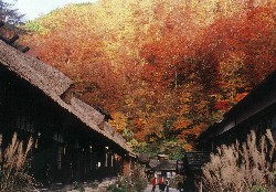 画像:秋田え〜どご100 県南地区その6