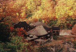画像:秋田え〜どご100 県南地区その7