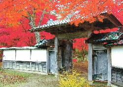 画像：秋田え〜どご100 県南地区その14