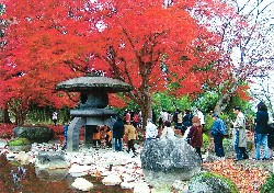 画像:秋田え〜どご100 県南地区その15