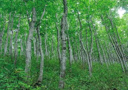 画像：秋田え〜どご100 県南地区その21