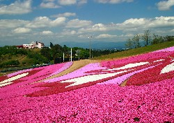 画像：秋田え〜どご100 県南地区その22