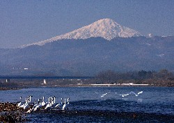 画像:秋田え〜どご100 県南地区その24