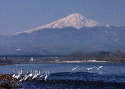 画像：秋田え〜どご100 県南地区その24