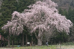 画像：秋田え〜どご100 県南地区その27