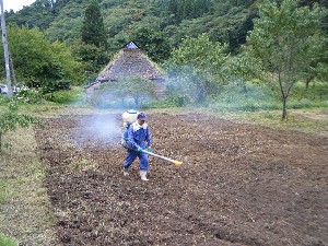 写真:活動の様子5