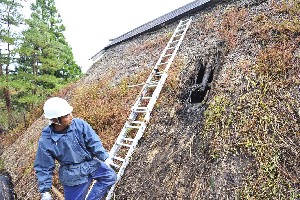 写真:活動の様子11